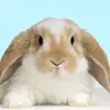 Ella Mills - @ellareese2009 - TikTok