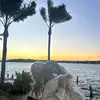 ella mills - @ella_millss - TikTok