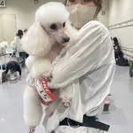 村上 ことな - @_ellamilo__ - Instagram