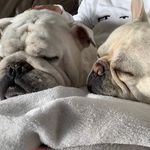 Ella Milton - @theadventuresof_olafandbonbon - Instagram