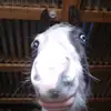 Ella Milton - @ellamilton2 - TikTok