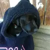 ellamitchell - @ellamitchell - TikTok