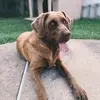ella - @.mixella - TikTok