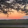 ella mohr - @ellemohr1221 - TikTok