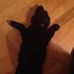 Ella Mohr - Facebook