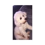 Ella Mortimer - @ellaxbackup1 - Instagram