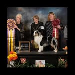 Ella Mortimer - @dog_trainer_12 - Instagram