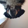 Ella Moser - @ellamoser358 - TikTok
