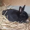 ellamoser778 - @ellamoser778 - TikTok