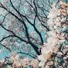 Ella Moyer - @ellamoyer - TikTok