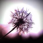Ella Moyer Photography - @ellamoyer_photography - Instagram