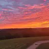 ella.moyerr - @ella.moyerr - TikTok