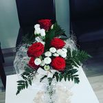 Ella Müller - @ellamuller1 - Instagram