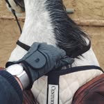 ella rose murdoch - @ella_7788123 - Instagram