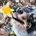 Ella Napier - Facebook