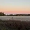 Ella - @ellanash_427 - TikTok