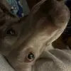Ella Neff - @ellaneff.12345 - TikTok