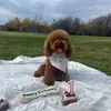 ellanevarez1 - @ellanevarez1 - TikTok