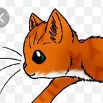 Ella Nickerson - @lion_paw337 - Instagram