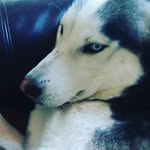 ella nobles - @ella_nobles - Instagram
