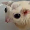 ella - @ellanorris - TikTok