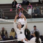 Ella Norris - @ellanorrisvolleyball - Instagram