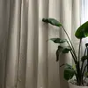 Ella Nowak - @ella_now - TikTok