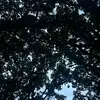 ella.nowak0 - @ella.nowak0 - TikTok
