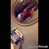 obey_ella_ - @obey_ella_ - TikTok
