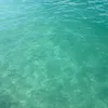 Ella obrien - @ella.obrien102 - TikTok