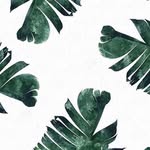 Ella O’Donnell - @ellaodonnellmusic - Instagram