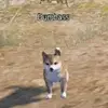 ellaodonnell900 - @ellaodonnell900 - TikTok