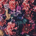 Ella O'keefe - @ella_okeefe2 - Instagram