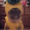 ella_Okeefe - @ella_okeefe - TikTok