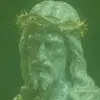 Eli Olmstead - @eli.olmstead - TikTok