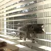ella - @ella.orourkee - TikTok