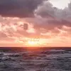 Ella - @ellaortizz - TikTok