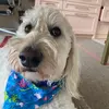 Ella Horton - @ellahorton62 - TikTok
