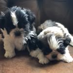 ella n otto - @ella.n.otto - Instagram