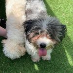 ella x otto - @ella._ottox - Instagram