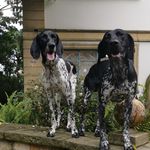 Otto, Ella & Canella - @otto_y_ella - Instagram
