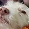 Ella - @ella_ouellette - TikTok