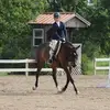ella pace - @ellaa.equestrian - TikTok