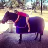 ella_parish101 - @ella_parish101 - TikTok