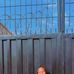 Ella Paul - Facebook