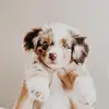 Ella & Paxton - @5k.besties - TikTok