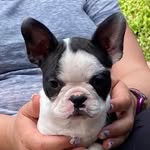 Ella Pearce - @ella.pearce.10004 - Instagram