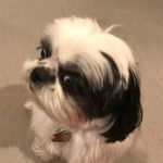Ella Pedersen - @tiberius_the_4th - Instagram