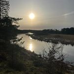 Ella Ramsdal Pedersen - @ella.pedersen.169 - Instagram
