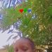 Ella Peace - Facebook